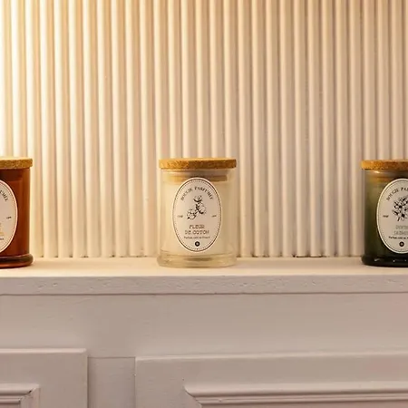 아파트 2 Pieces Ultra-centre Au Calme 낭트