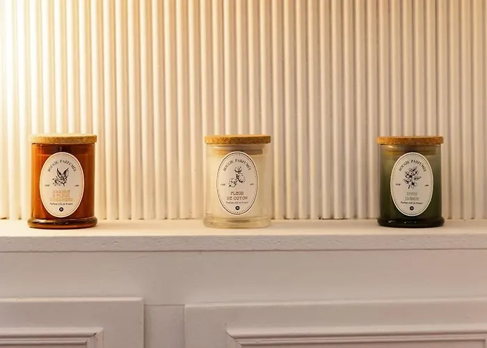 Apartmán 2 Pieces Ultra-centre Au Calme Nantes